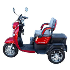 Pushpak Motors 1000 Two-Person Heavy Duty Scooter Pushpak Motors