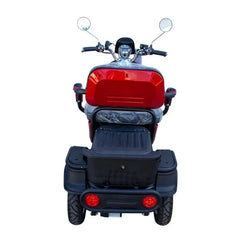 Pushpak Motors 1000 Two-Person Heavy Duty Scooter Pushpak Motors