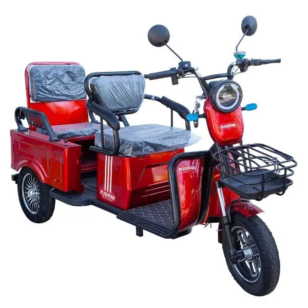 Pushpak Motors 3000 Two-Person Heavy Duty Scooter Pushpak Motors