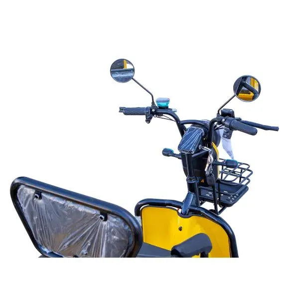 Pushpak Motors 3000 Two-Person Heavy Duty Scooter Pushpak Motors