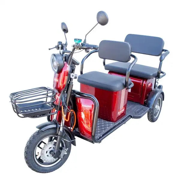 Pushpak Motors 4000 Two-Person Heavy Duty Scooter Pushpak Motors