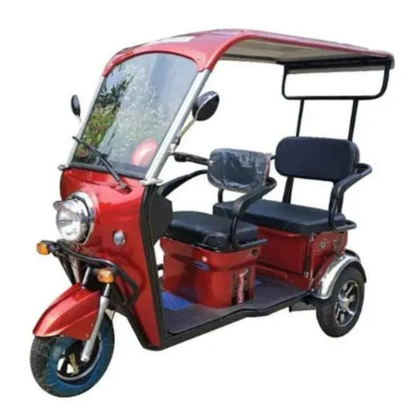 Pushpak Motors 5000S Two-Person Heavy Duty Scooter Pushpak Motors