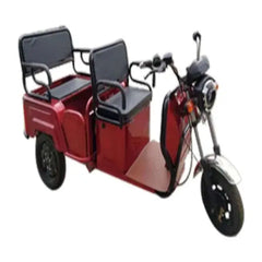 Pushpak Motors 6000 Two-Person Heavy Duty Scooter Pushpak Motors