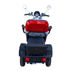 Pushpak Motors 1000 Two-Person Heavy Duty Scooter